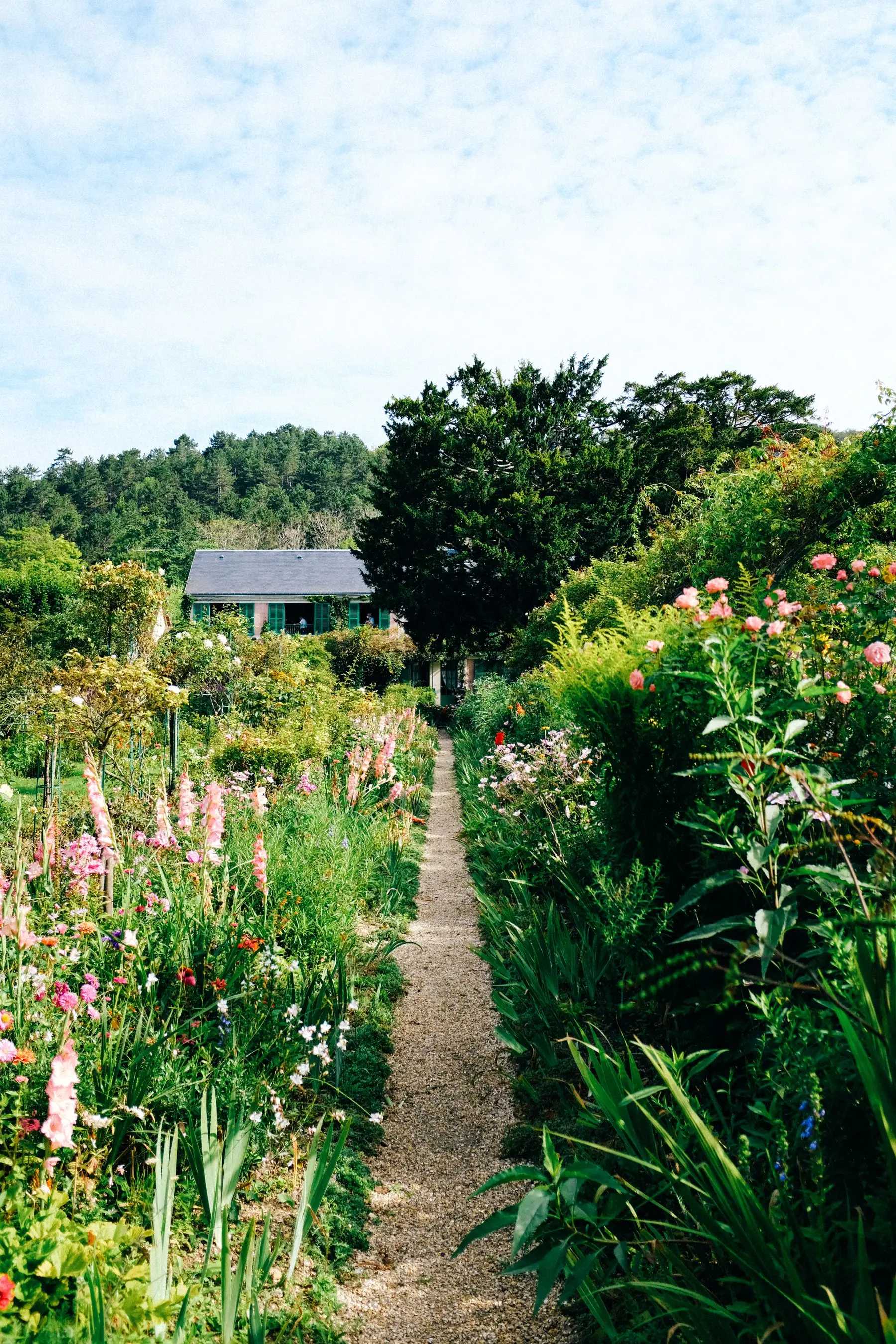Gartenweg mit blühenden Stauden, der zu einem Haus führt